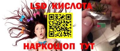 spice Моздок