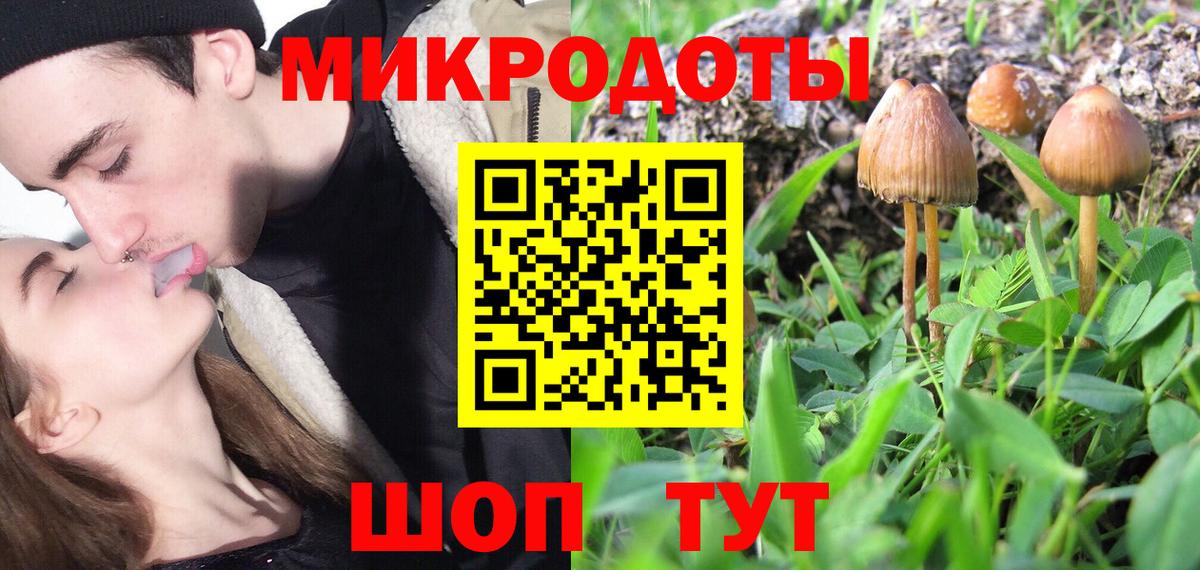 Галлюциногенные грибы Psilocybe  Вход с VPN  Химки 