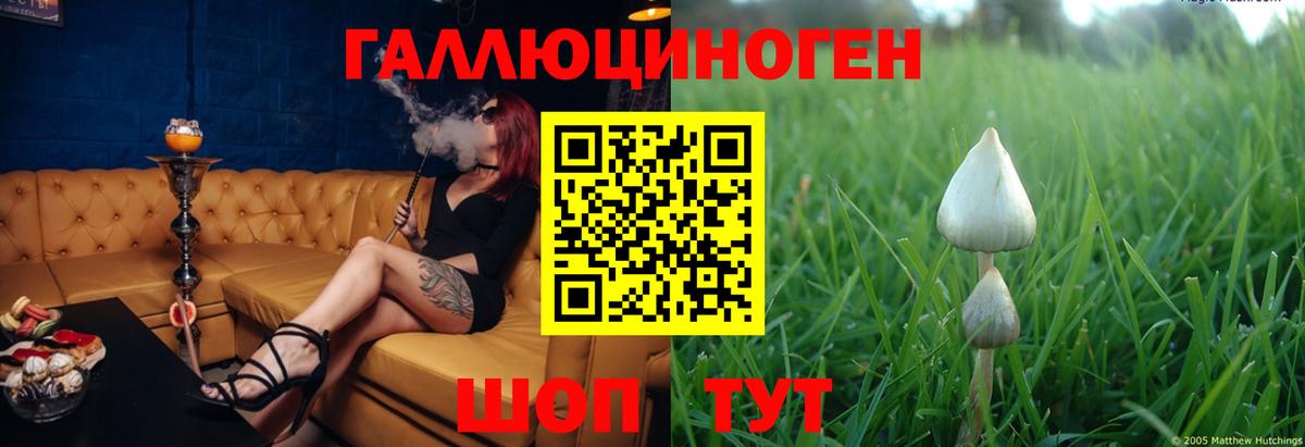 Галлюциногенные грибы Magic Shrooms Химки